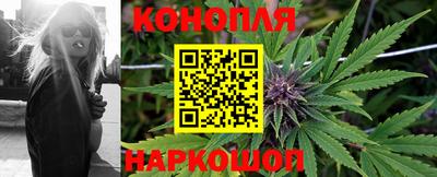 Альфа ПВП Канаш