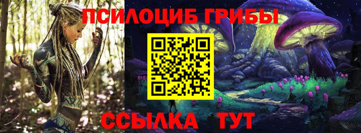Кызыл  Псилоцибиновые грибы мицелий  Вход с VPN 